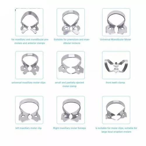 12x Dental Basic Rubber Dam Kit Surgical Instruments Set With Frame Punch Clamps