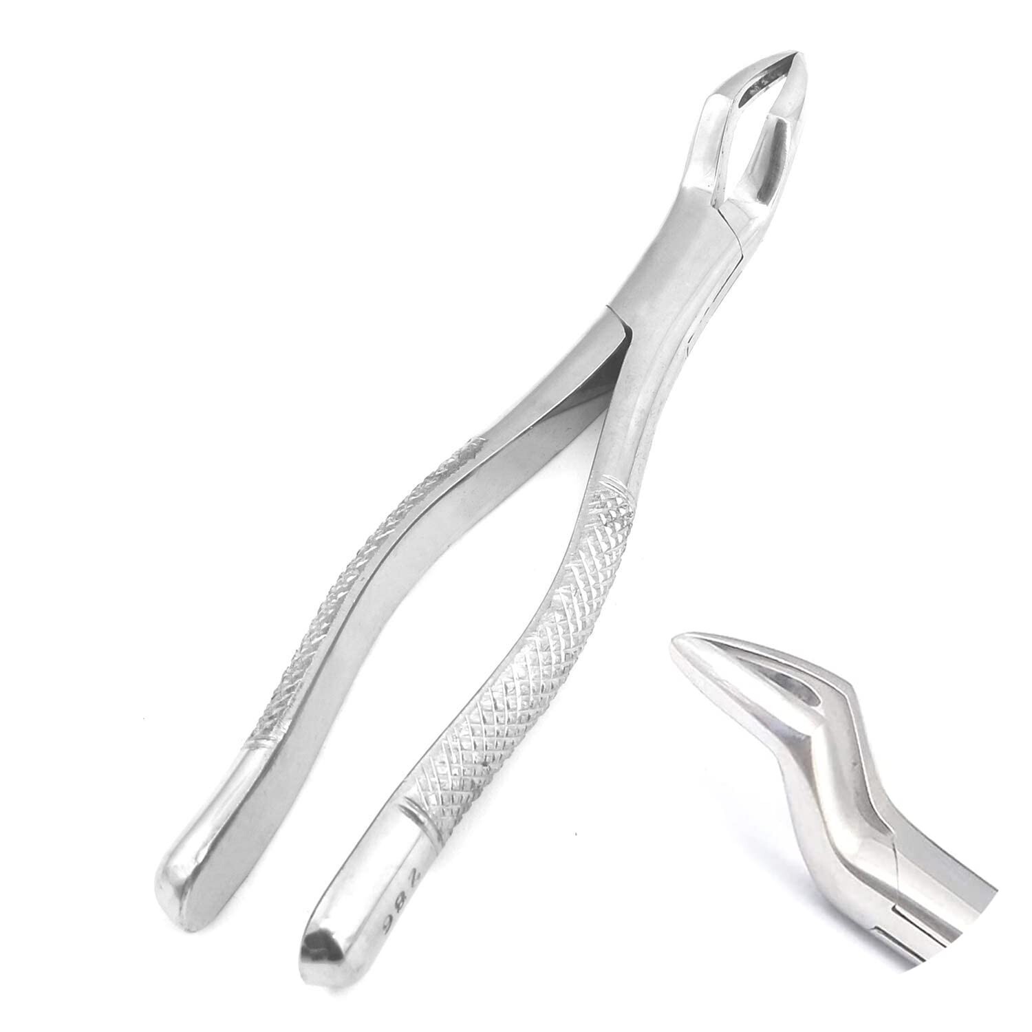 EXTRACTING FORCEPS # 286 DENTAL SURGICAL INSTRUMENTS