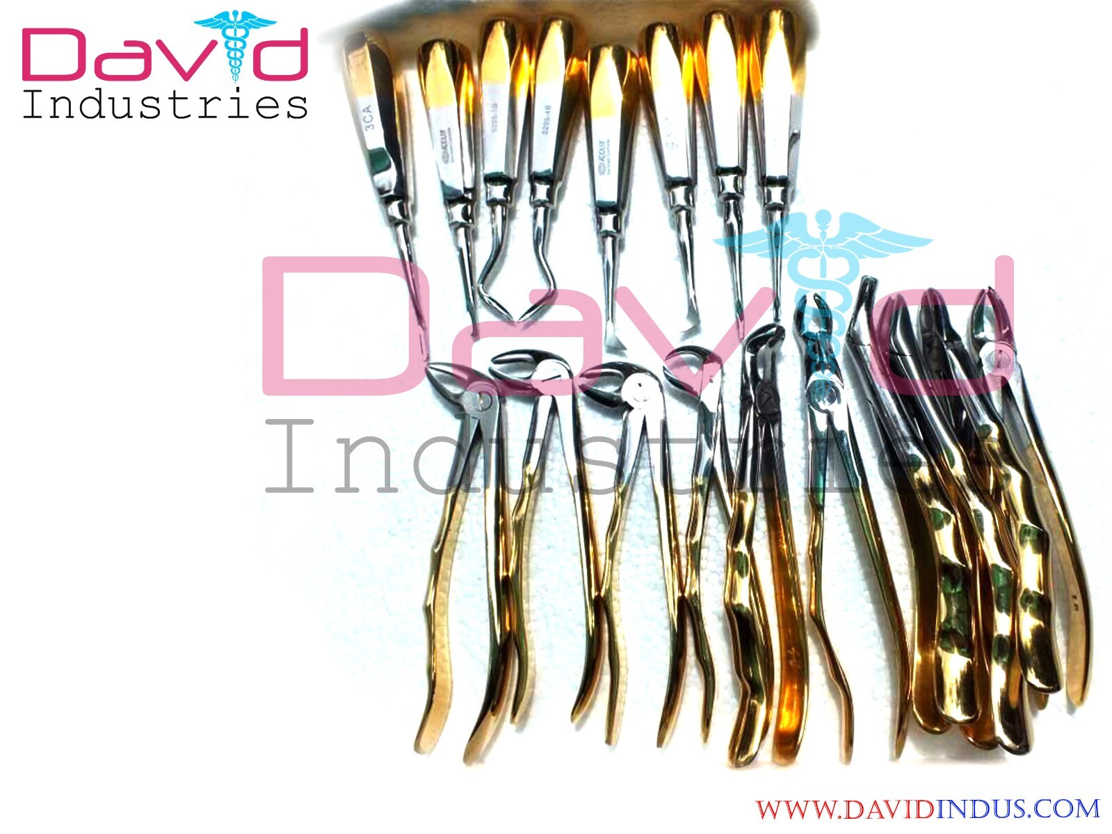 20 Pcs Kit Dental Oral Forceps Extraction Surgery Elevators Surgical FREE SHIPP