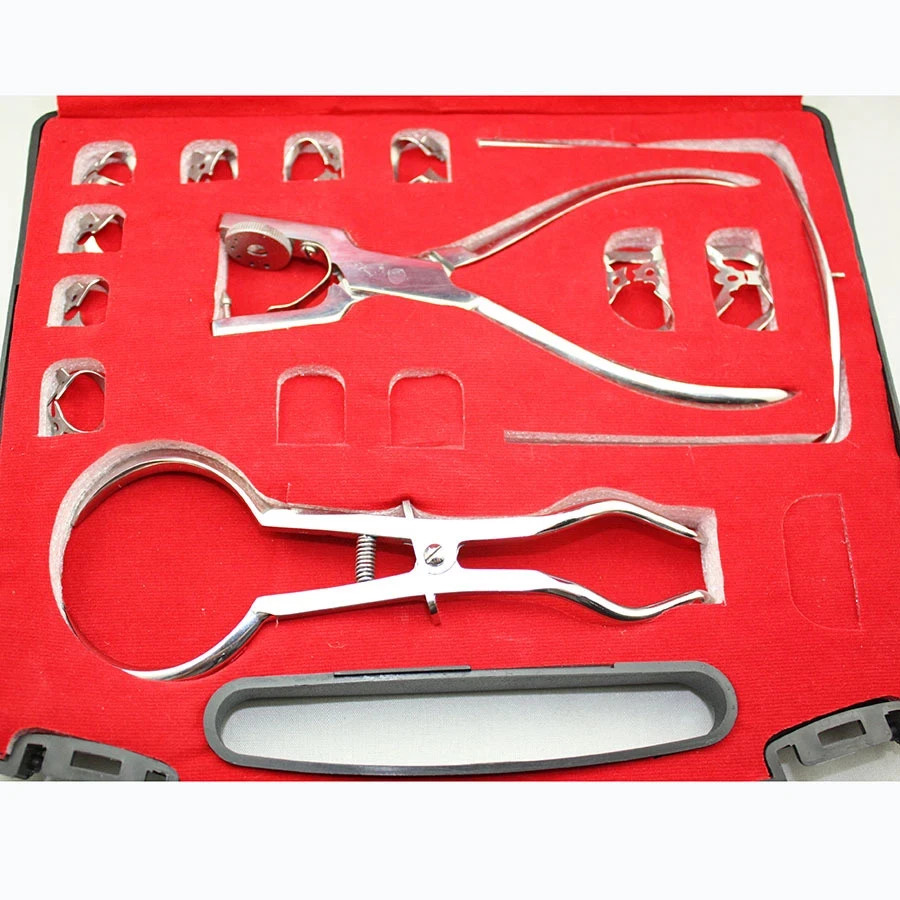 12x Dental Basic Rubber Dam Kit Surgical Instruments Set With Frame Punch Clamps