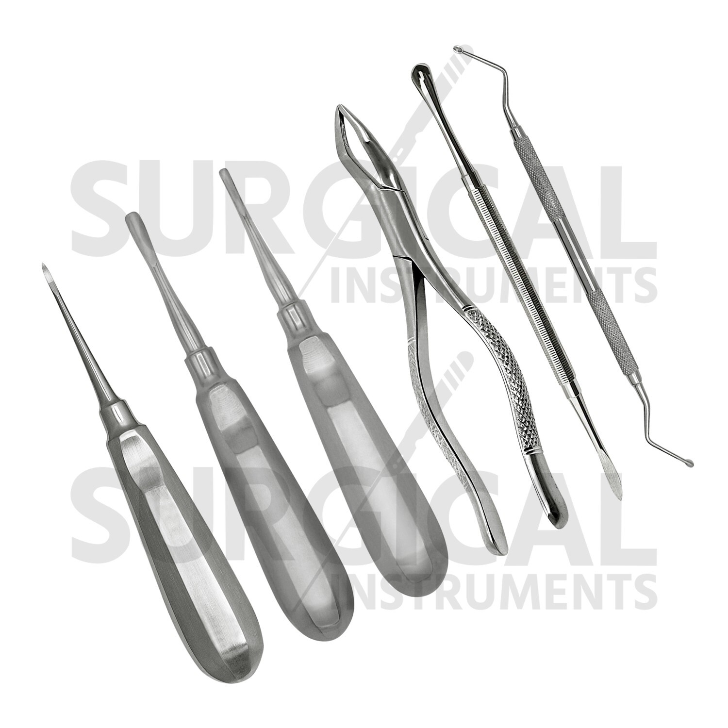 6 Pcs Basic Exodontia Set Stainless Steel Surgical Veterinary Instruments Kit