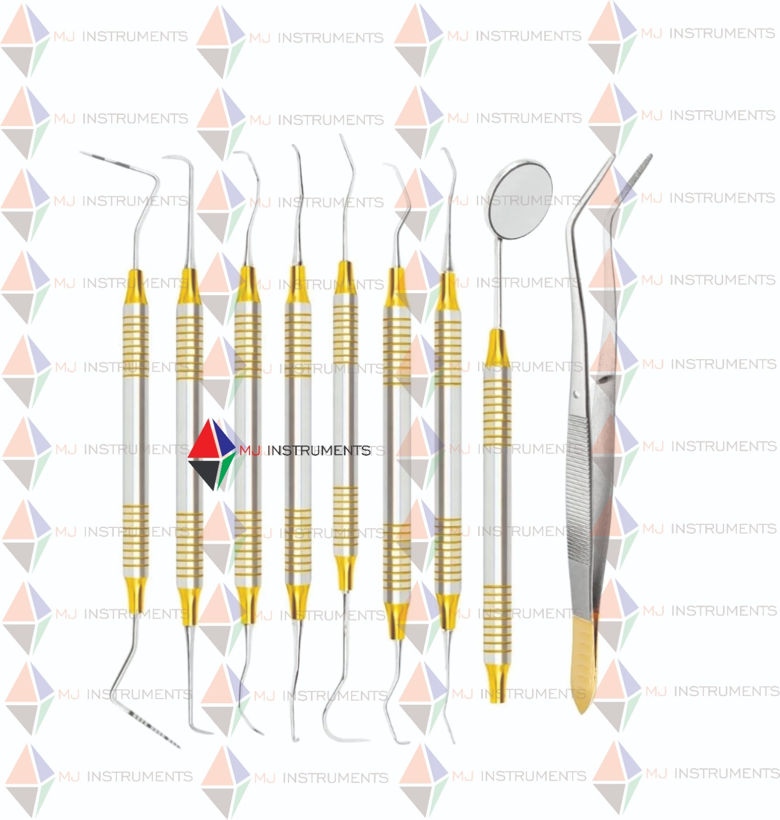 Dental Hygienist Instruments Set of 10 Tool Kit w/ Cassette