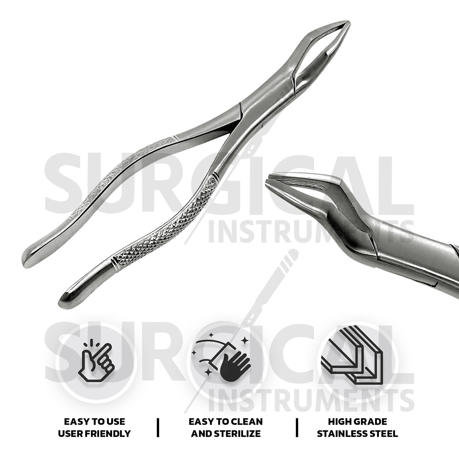 6 Pcs Basic Exodontia Set Stainless Steel Surgical Veterinary Instruments Kit