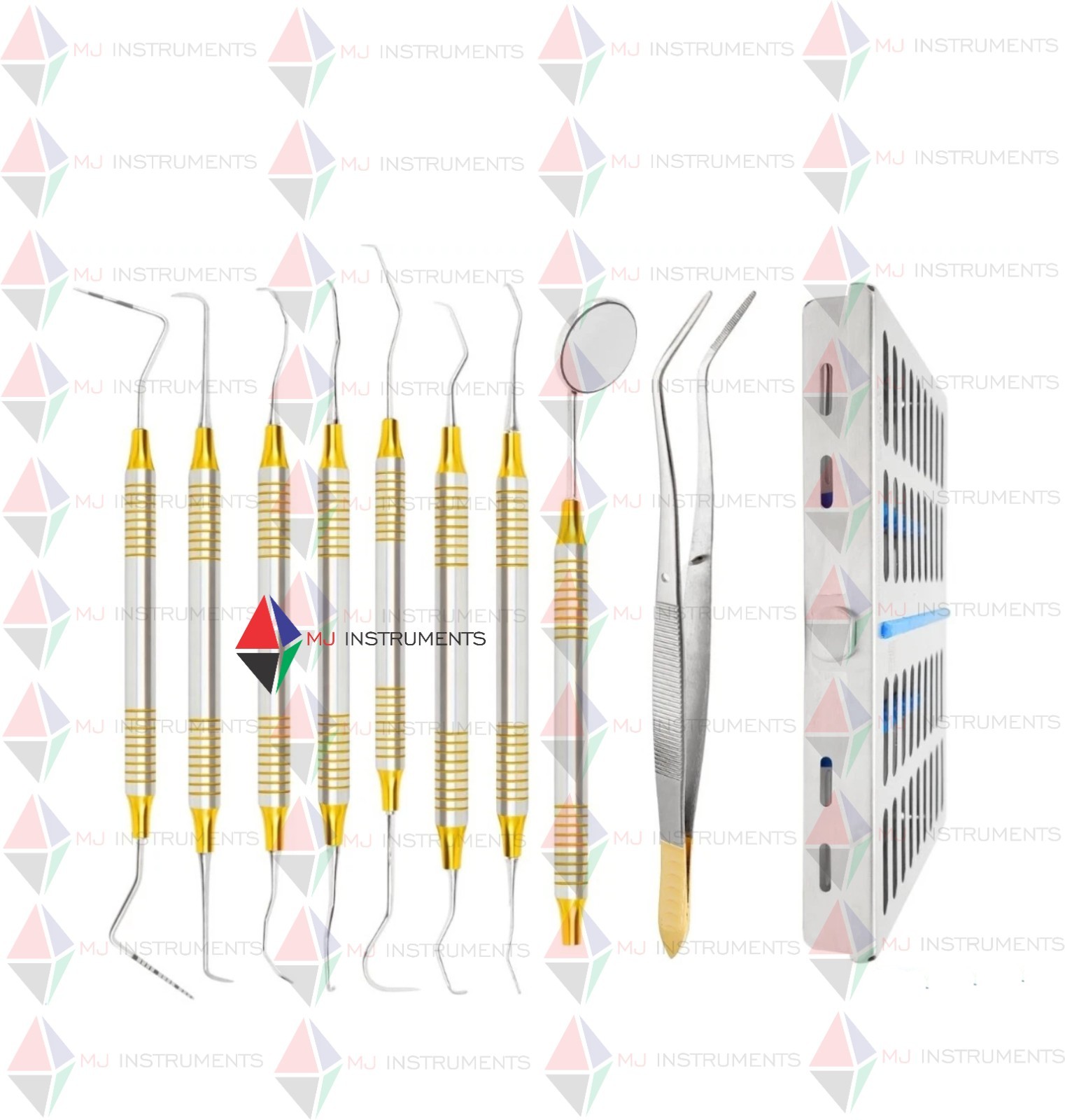 Dental Hygienist Instruments Set of 10 Tool Kit w/ Cassette