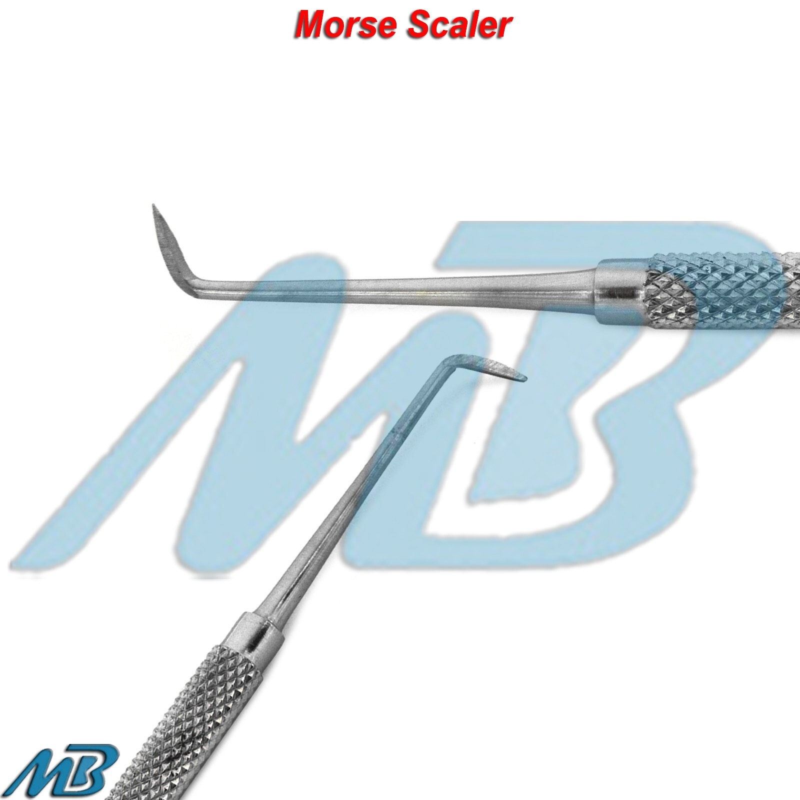 Periodontal Morse Scaler Teeth Scaling Sickle Scaler Dental Hygiene Instruments