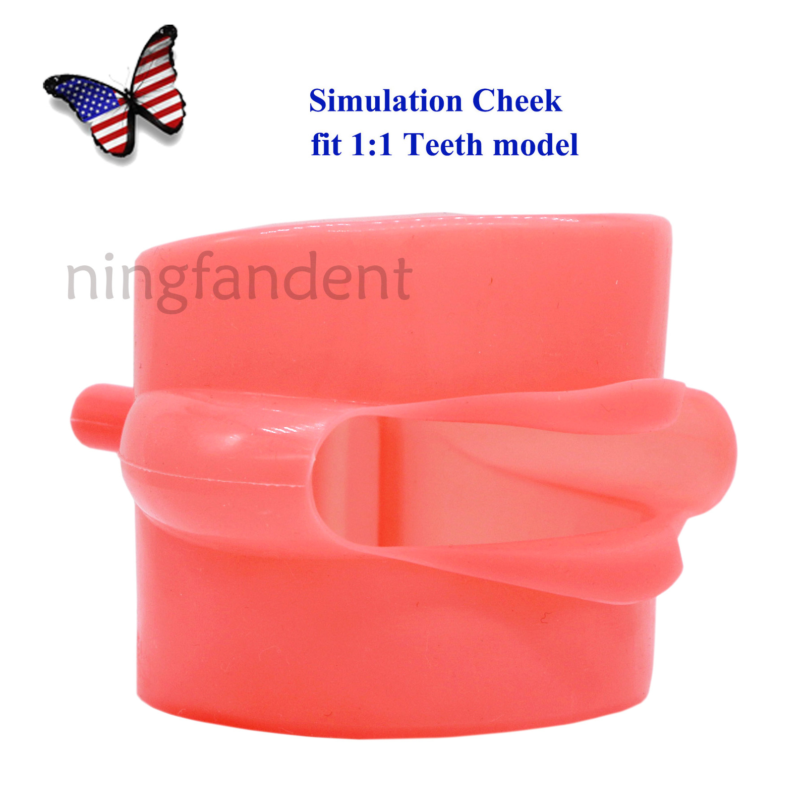 Dental Soft Rubber Simulation Cheek 200/500 Type Teeth Model fit Kilgore NISSIN