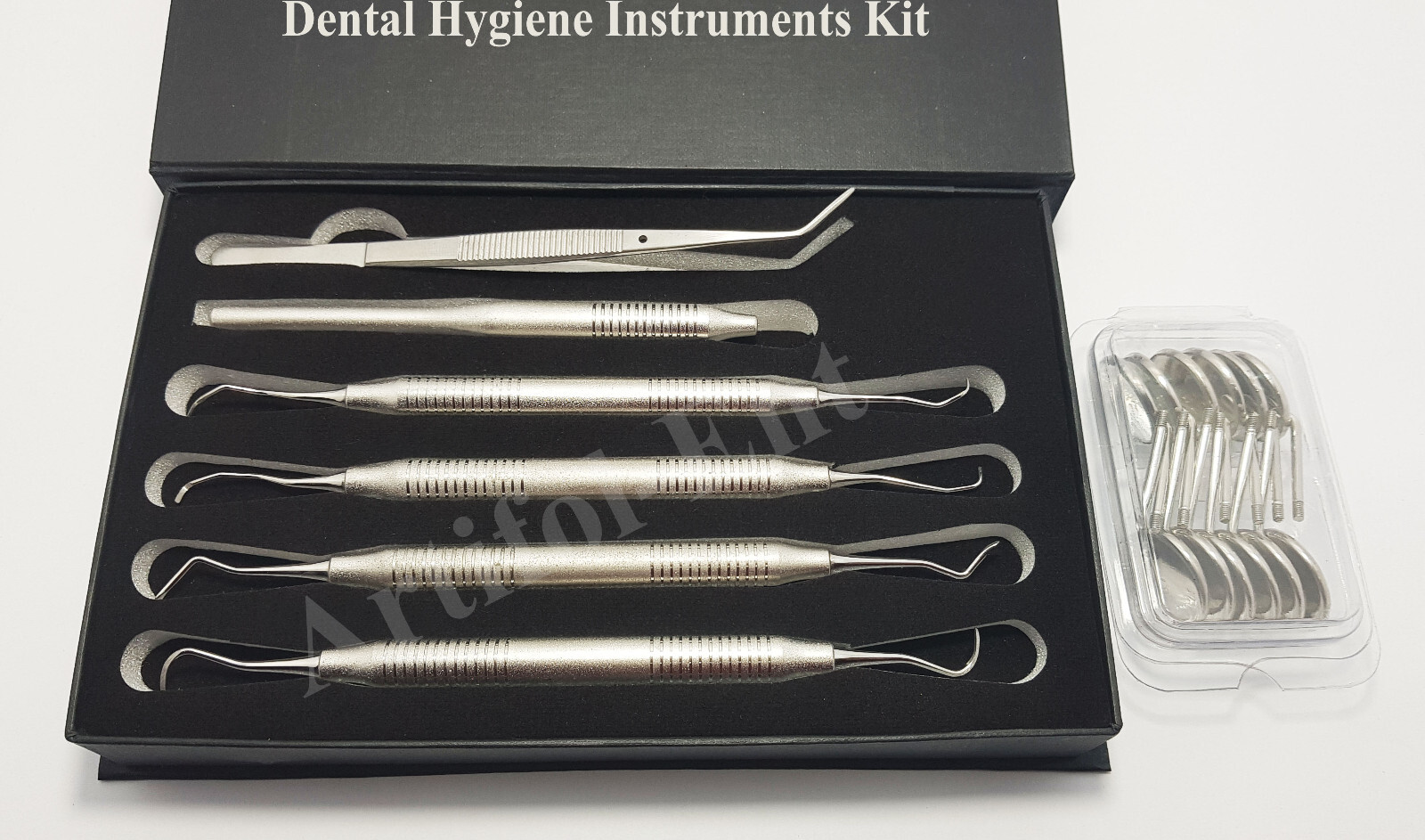 Dental Hygiene Instruments Set Gracey Curette Scalers Hygienists Tool kit 18 Pcs