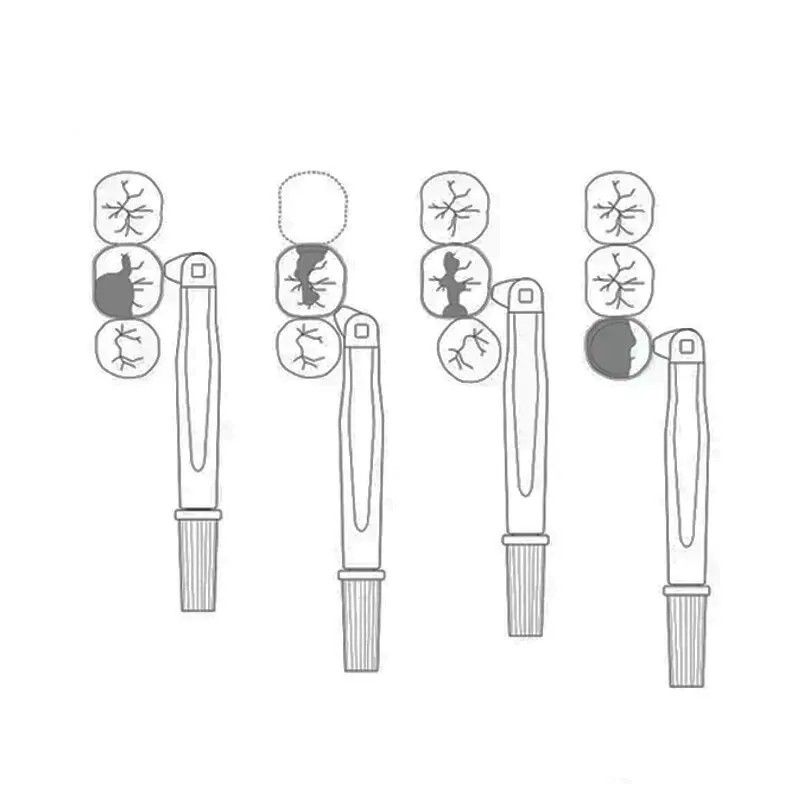 24Pcs Dental Pro Matrix Bands Adjust Matrices System Sectional Contoured Band