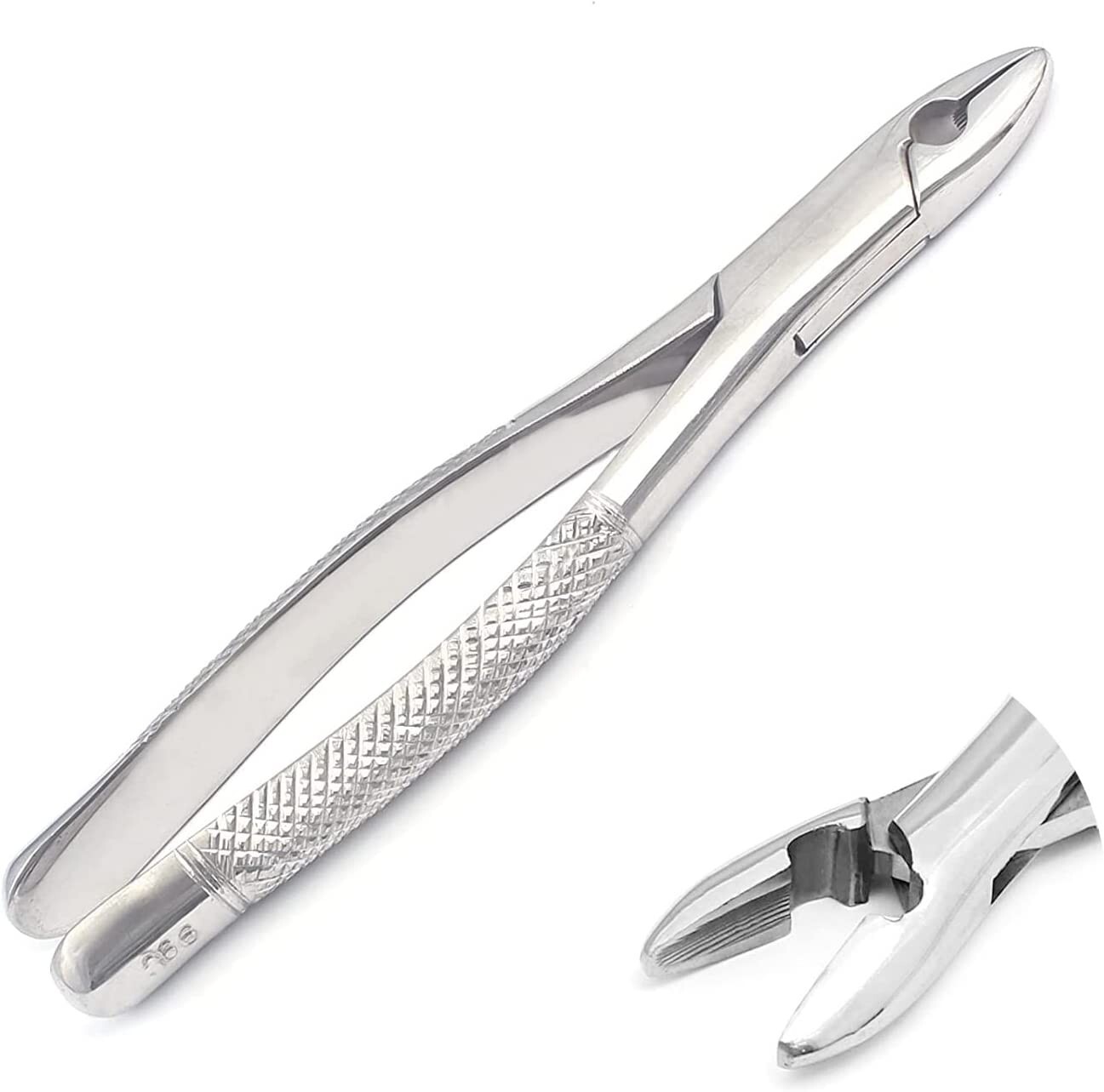 EXTRACTING FORCEPS # 99C DENTAL SURGICAL INSTRUMENTS