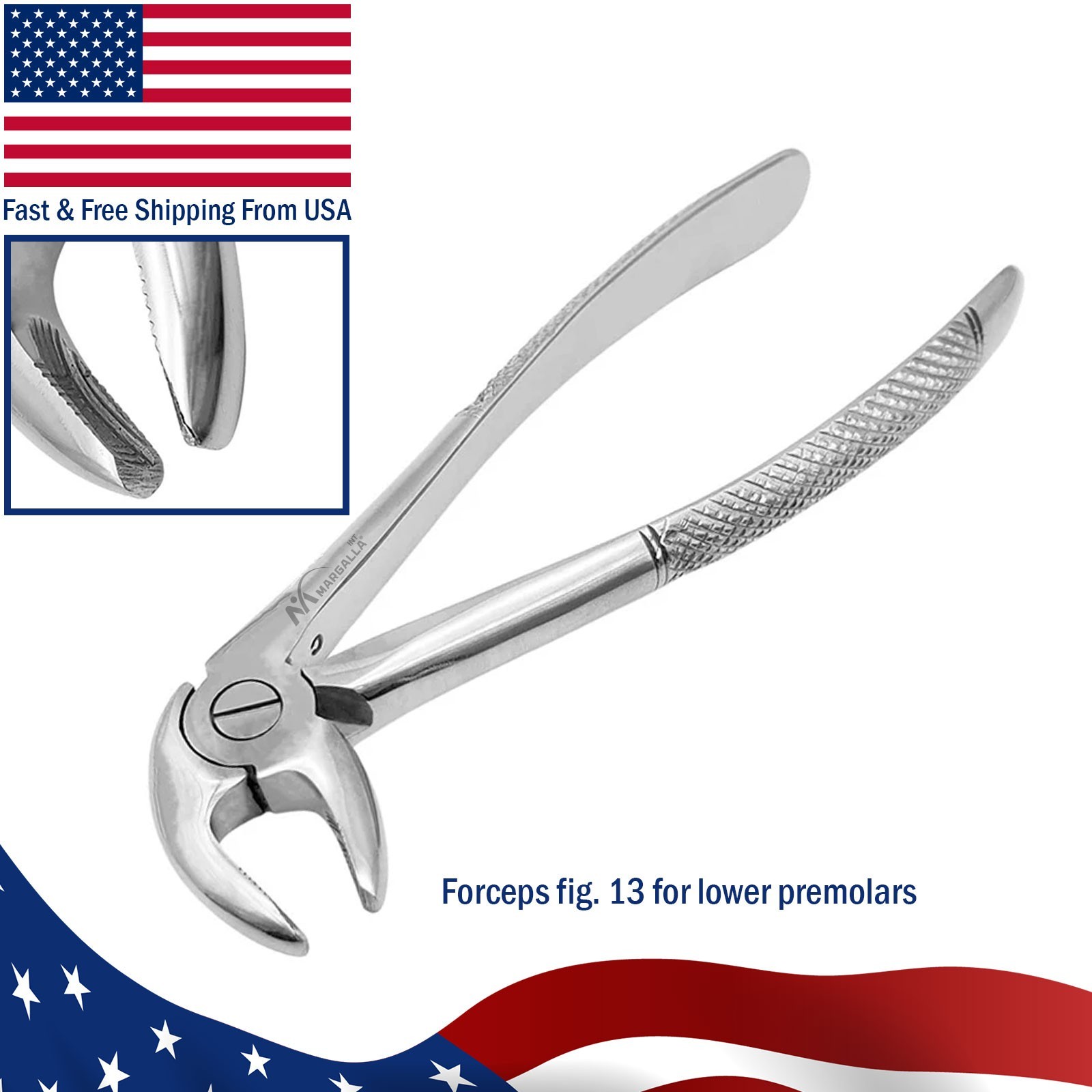 Surgical Lower Premolar Extraction Forceps Fig-13 Dental Tooth Extracting Pliers